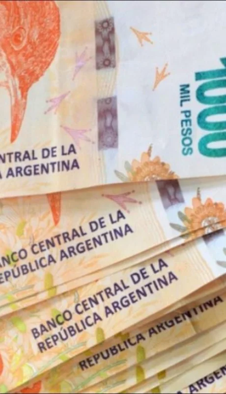 pesos-fci-png.