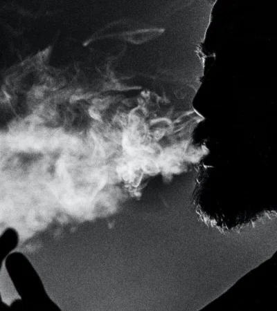 pexels-petar-star-evi--2389130-jpg.