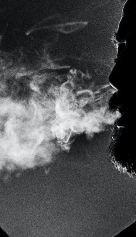 pexels-petar-star-evi--2389130-jpg.