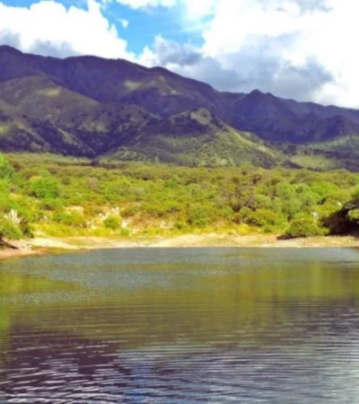 6146078363bea371916067-jpg.