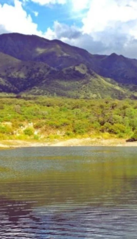 6146078363bea371916067-jpg.