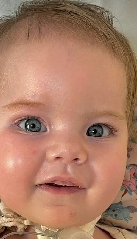 whatsapp-image-2023-09-06-at-21-18-06-jpeg.