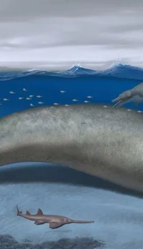 ballenas-perucetus-colosus-ciencia-png.