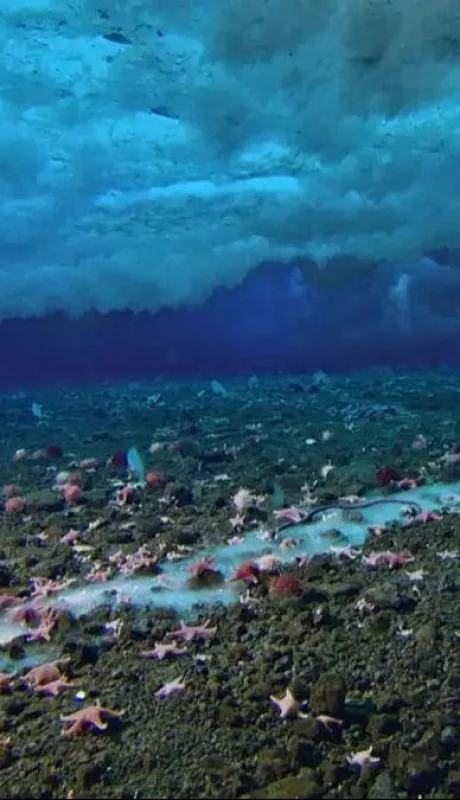 dedo-de-la-muerte-brinicle-mar-lecho-marino-png.