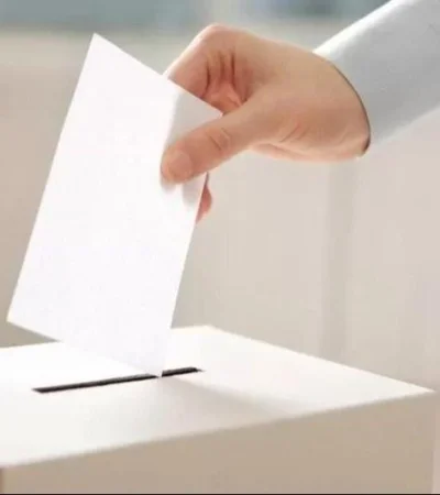 voto2-jpg.