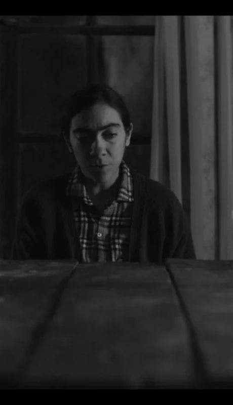 la-calma-the-calm-png.