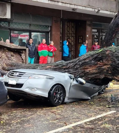 auto-clima-pronostico-png.