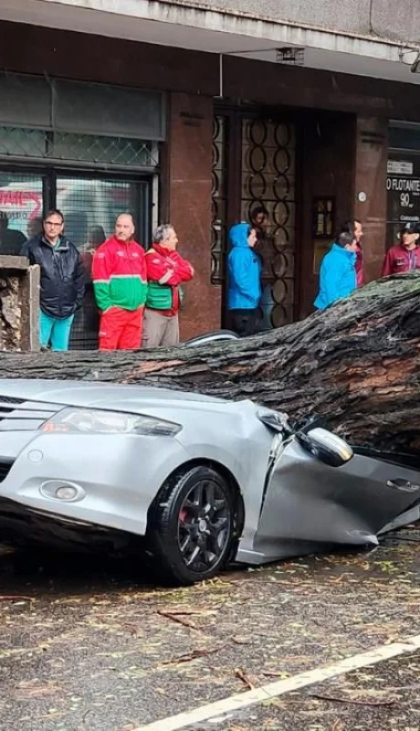 auto-clima-pronostico-png.