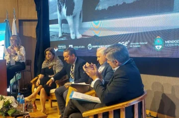 Congreso Internacional de Alfabetización, Lectura y Escritura