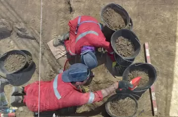 Santiago de Chile: encontraron restos fósiles de hace 13.000 años en las obras del metro
