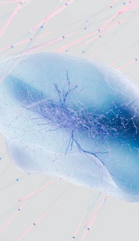 pexels-google-deepmind-17483867-jpg.