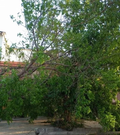 whatsapp-image-2023-10-29-at-09-33-25-jpeg.