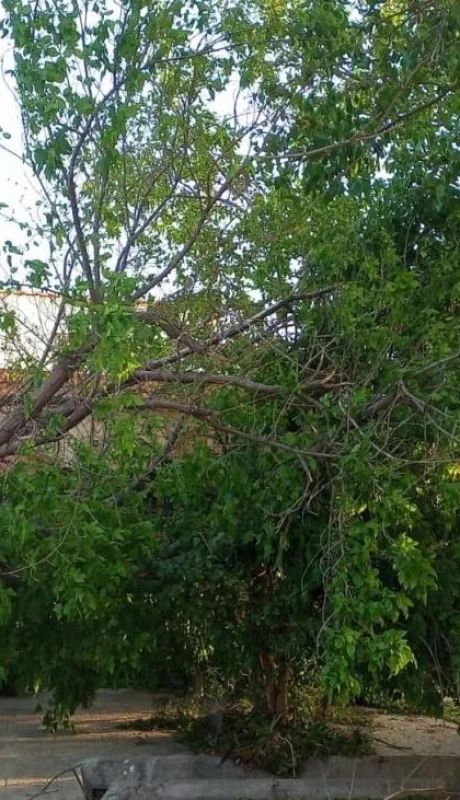 whatsapp-image-2023-10-29-at-09-33-25-jpeg.