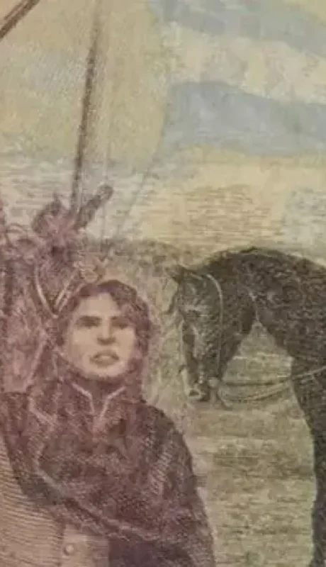 d-nq-np-2x-889495-mla70263571394-jpg-1463207438-webp.