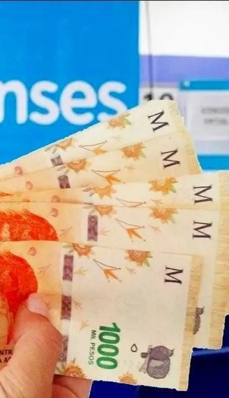 anses-bono-de-50000-inscripcion-formulario-jpg.