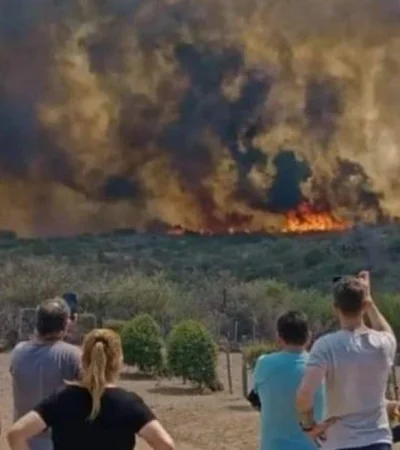 1696889419231009688-jpg.