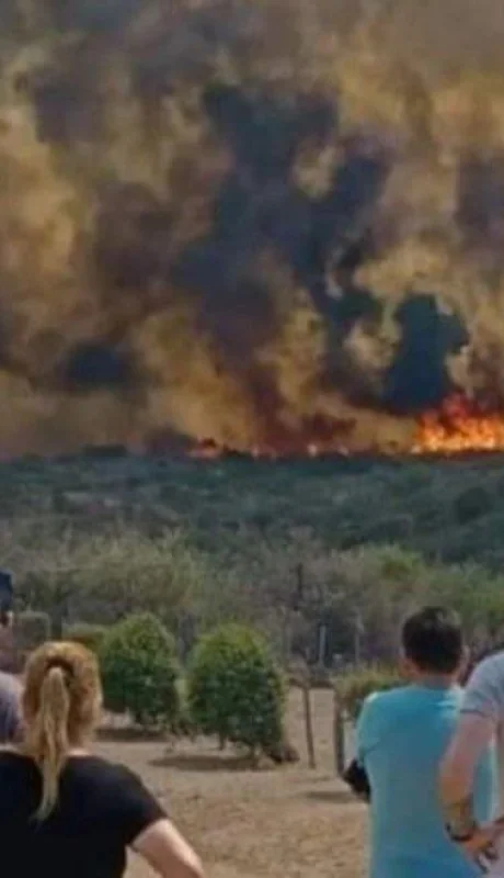 1696889419231009688-jpg.