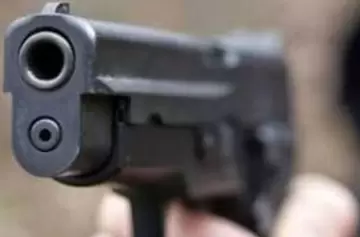 Diputados aprobó el proyecto de tenencia de armas y la prórroga de la entrega voluntaria