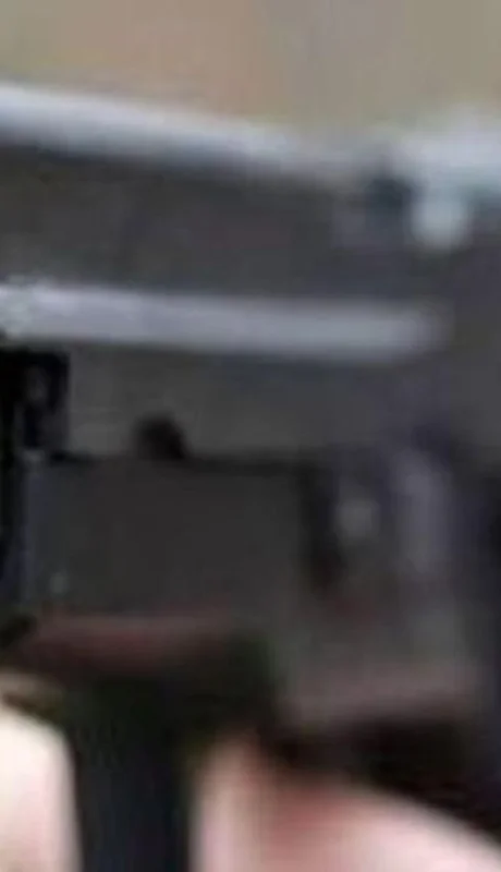 Avanza en el Congreso el proyecto para regular la tenencia de armas.