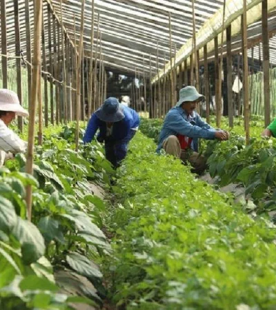 5f882b1713c78-837-627-jpg.