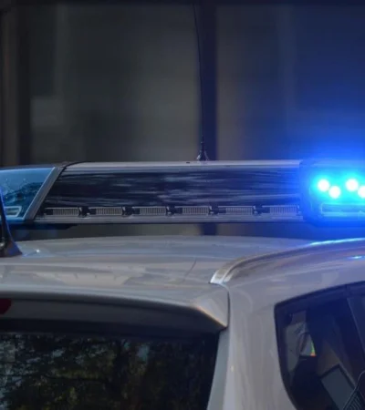 pexels-pixabay-532001-jpg-jpg.