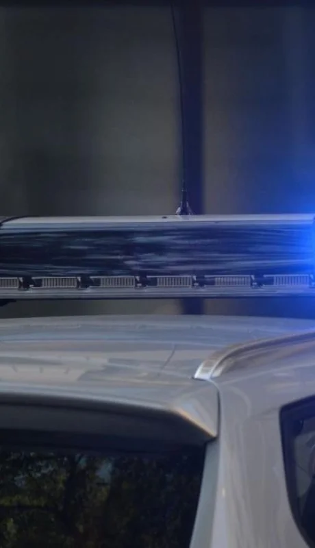 pexels-pixabay-532001-jpg-jpg.