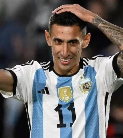 whatsapp-image-2023-10-17-at-16-59-47-jpeg.