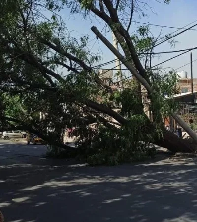 whatsapp-image-2023-10-29-at-19-08-56-jpeg.