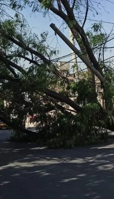 whatsapp-image-2023-10-29-at-19-08-56-jpeg.