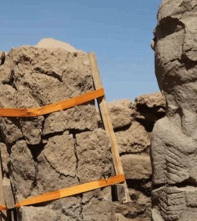 1-crop1696361764608-png-1756841869-png.