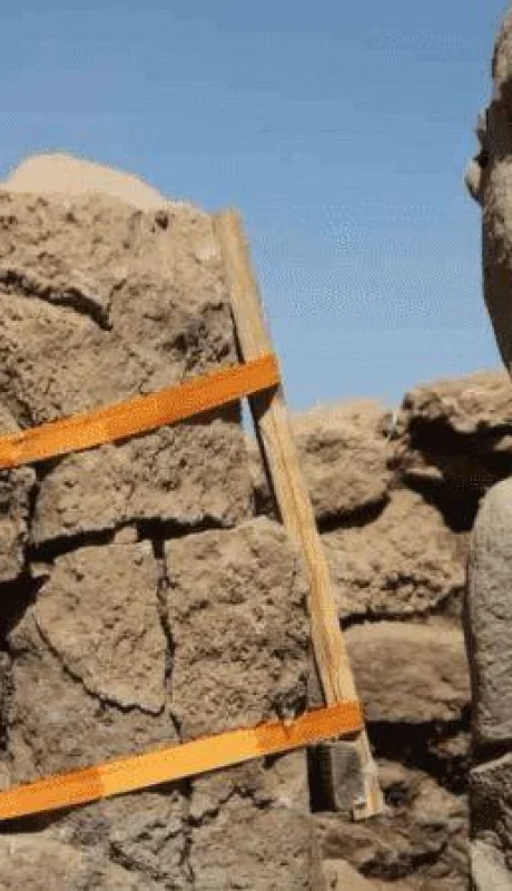 1-crop1696361764608-png-1756841869-png.