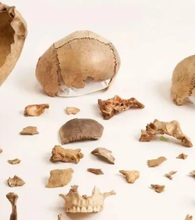 231005054928-01-human-cannibalism-funerary-practice-jpg.