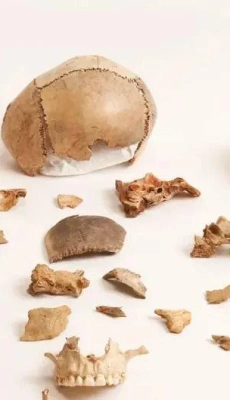 231005054928-01-human-cannibalism-funerary-practice-jpg.