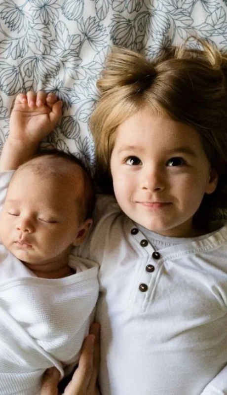 pexels-pixabay-50692-jpg.