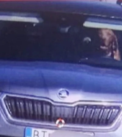 whatsapp-image-2023-10-10-at-14-37-27-jpeg.