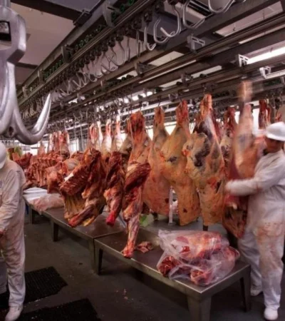carne-exportaciones-1-jpg.