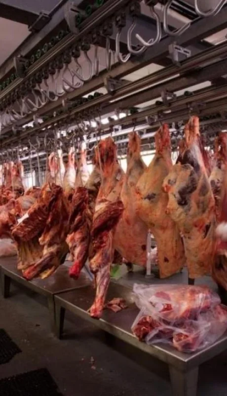 carne-exportaciones-1-jpg.