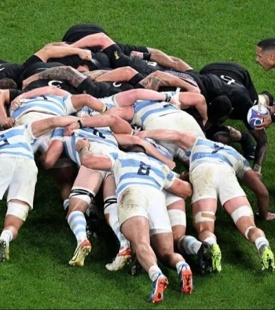 whatsapp-image-2023-10-25-at-15-55-18-jpeg.