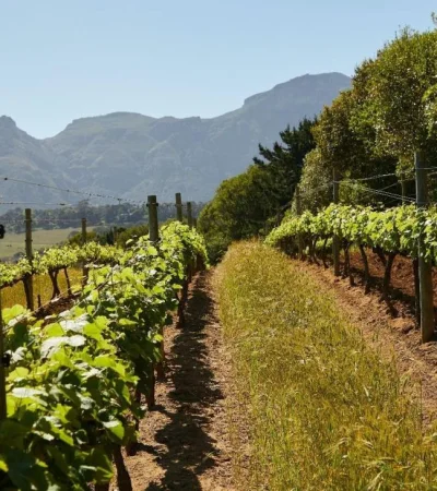 pexels-laker-5732806-jpg.