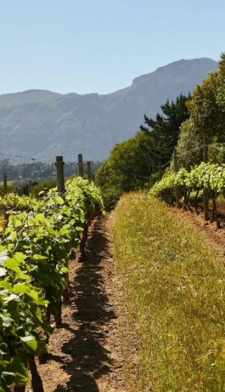 pexels-laker-5732806-jpg.