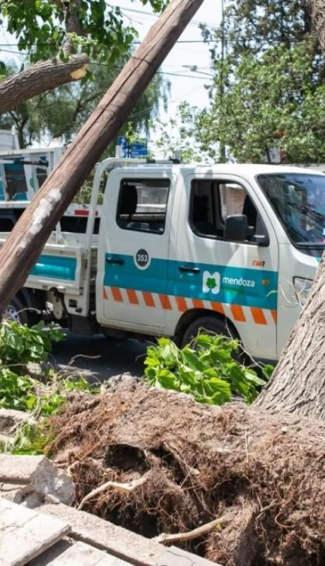 whatsapp-image-2023-10-29-at-18-44-53-jpeg.