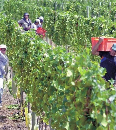 WhatsApp Image 2023-11-01 at 12.31.16