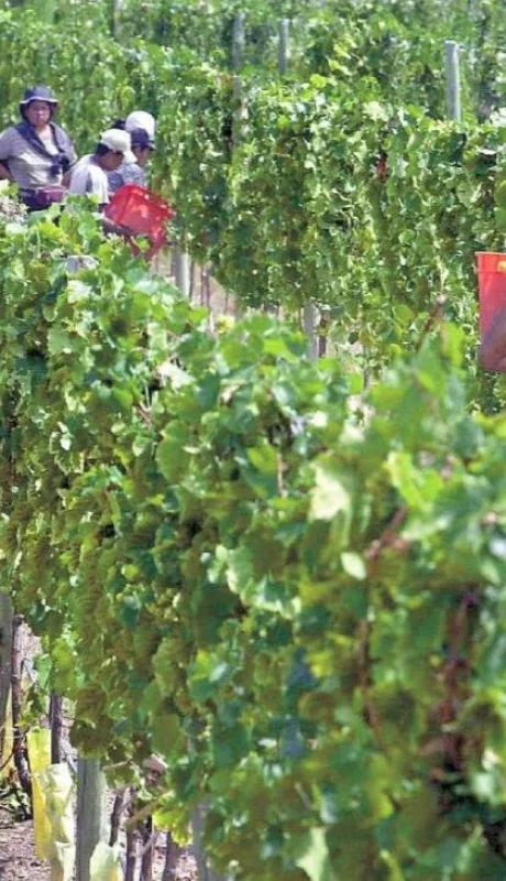 WhatsApp Image 2023-11-01 at 12.31.16