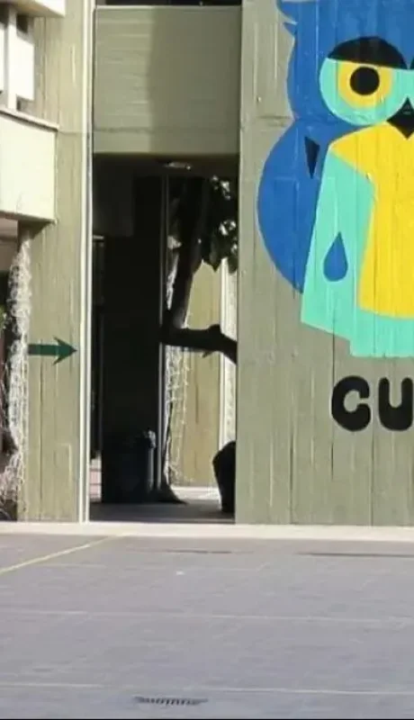 colegio-universidad-cuyo-1jpg-webp.