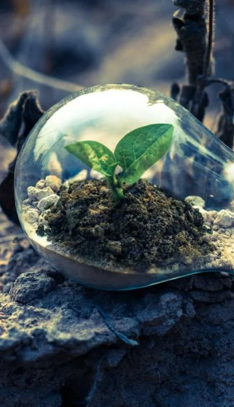 pexels-singkham-1108572-jpg.