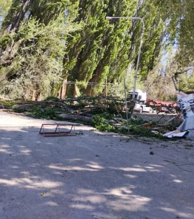 d8a9a5eb-3da3-4587-872c-1c2f0d1234ab-jpg.