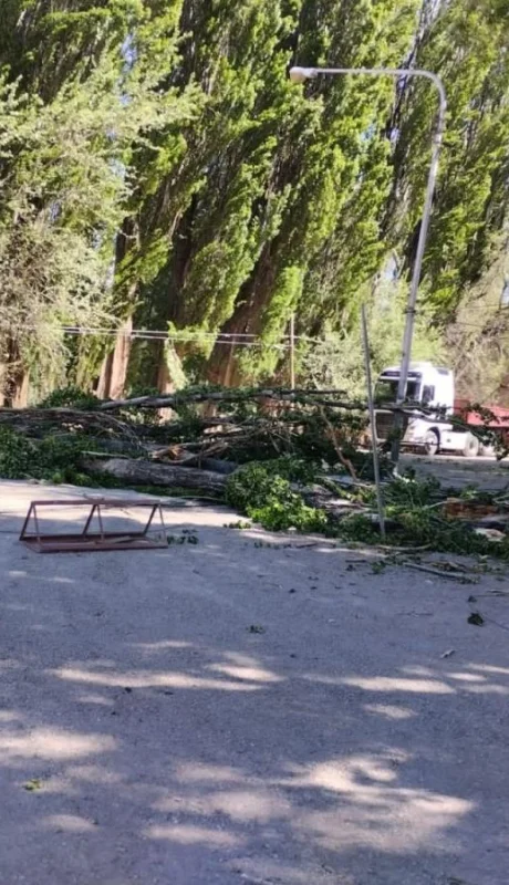 d8a9a5eb-3da3-4587-872c-1c2f0d1234ab-jpg.