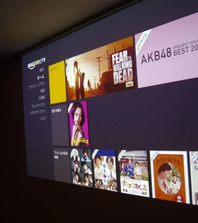 21489115388-8d389bc2d8-b-jpg.