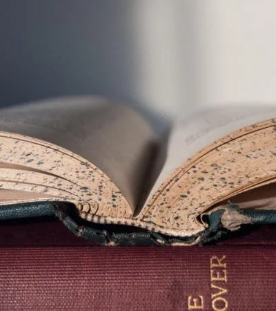 pexels-pixabay-159833-jpg.