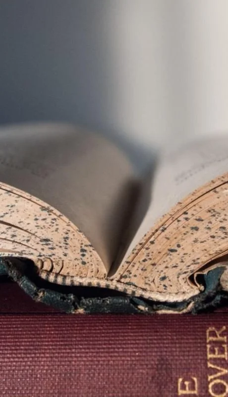 pexels-pixabay-159833-jpg.